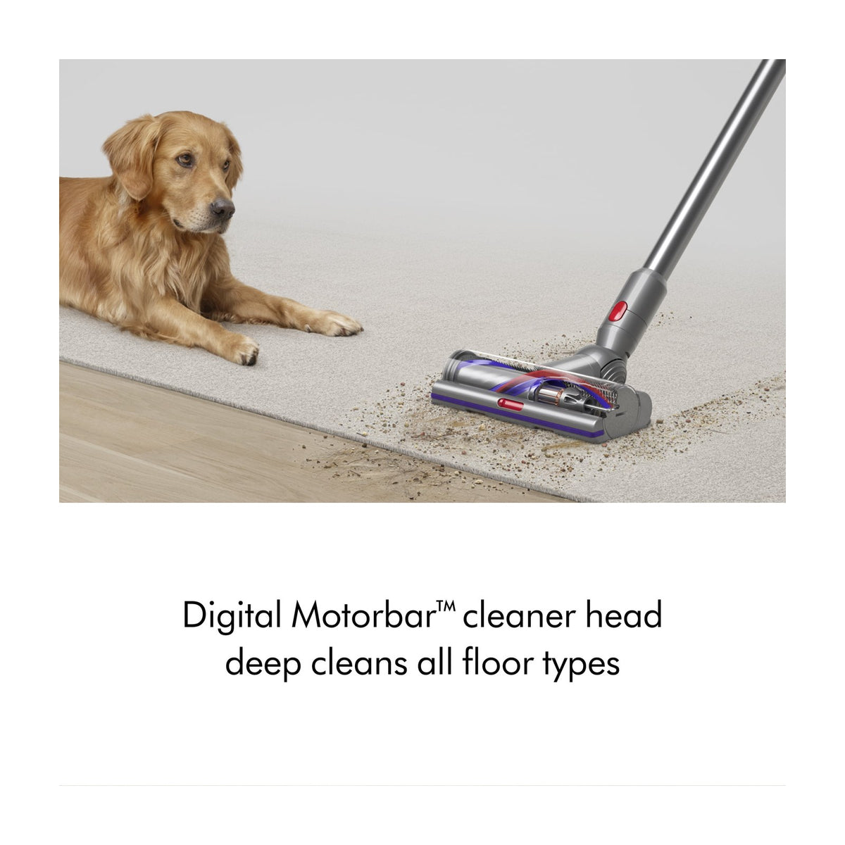 Dyson V15 Detect Cordless Stick Vacuum — Vacuums