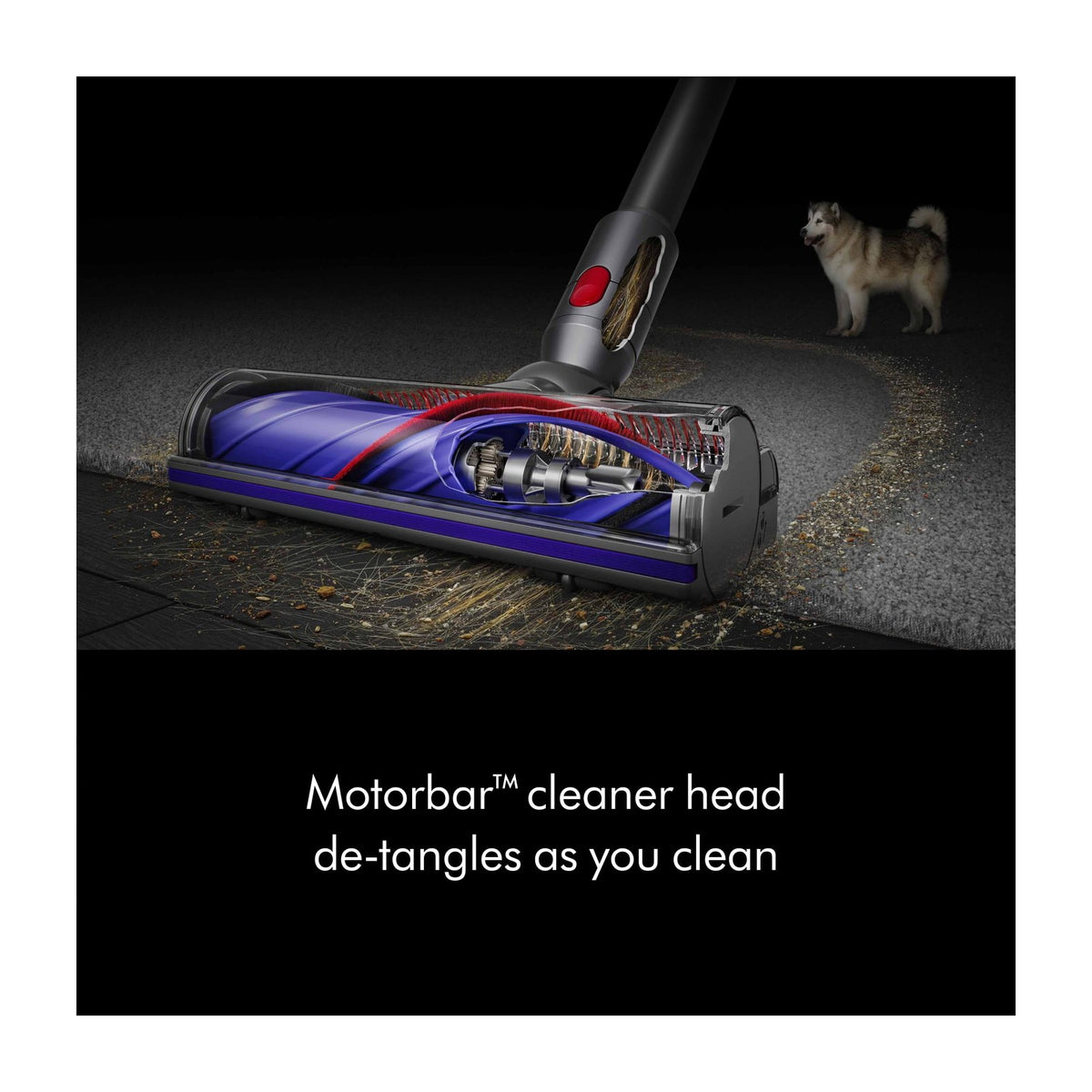 Dyson V8 Plus Cordless Stick Vacuum — Vacuums