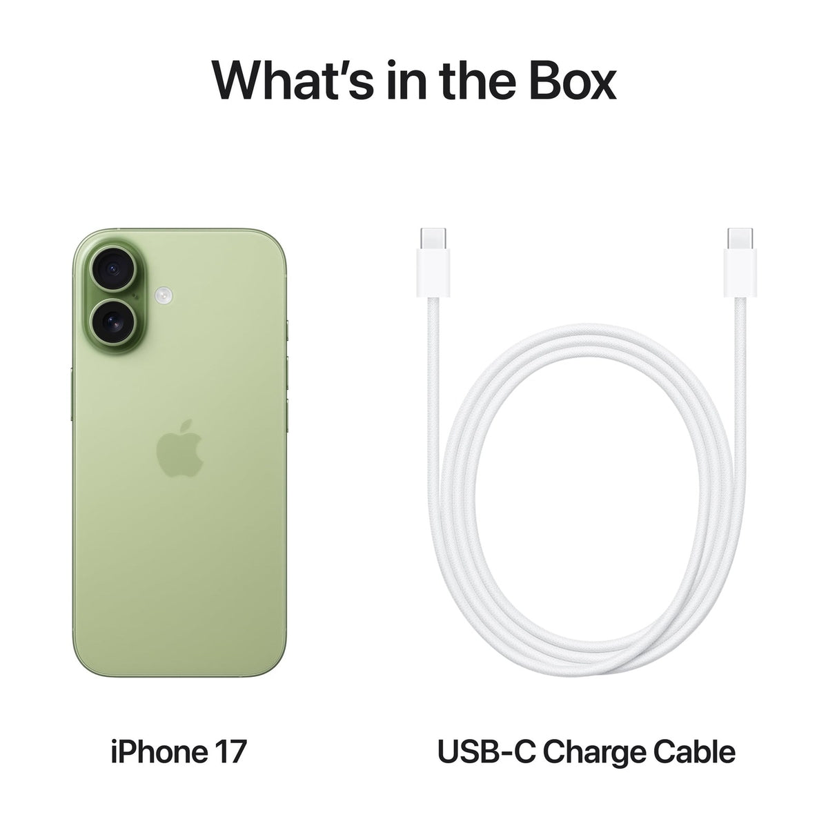 Sage — Apple iPhone 17
