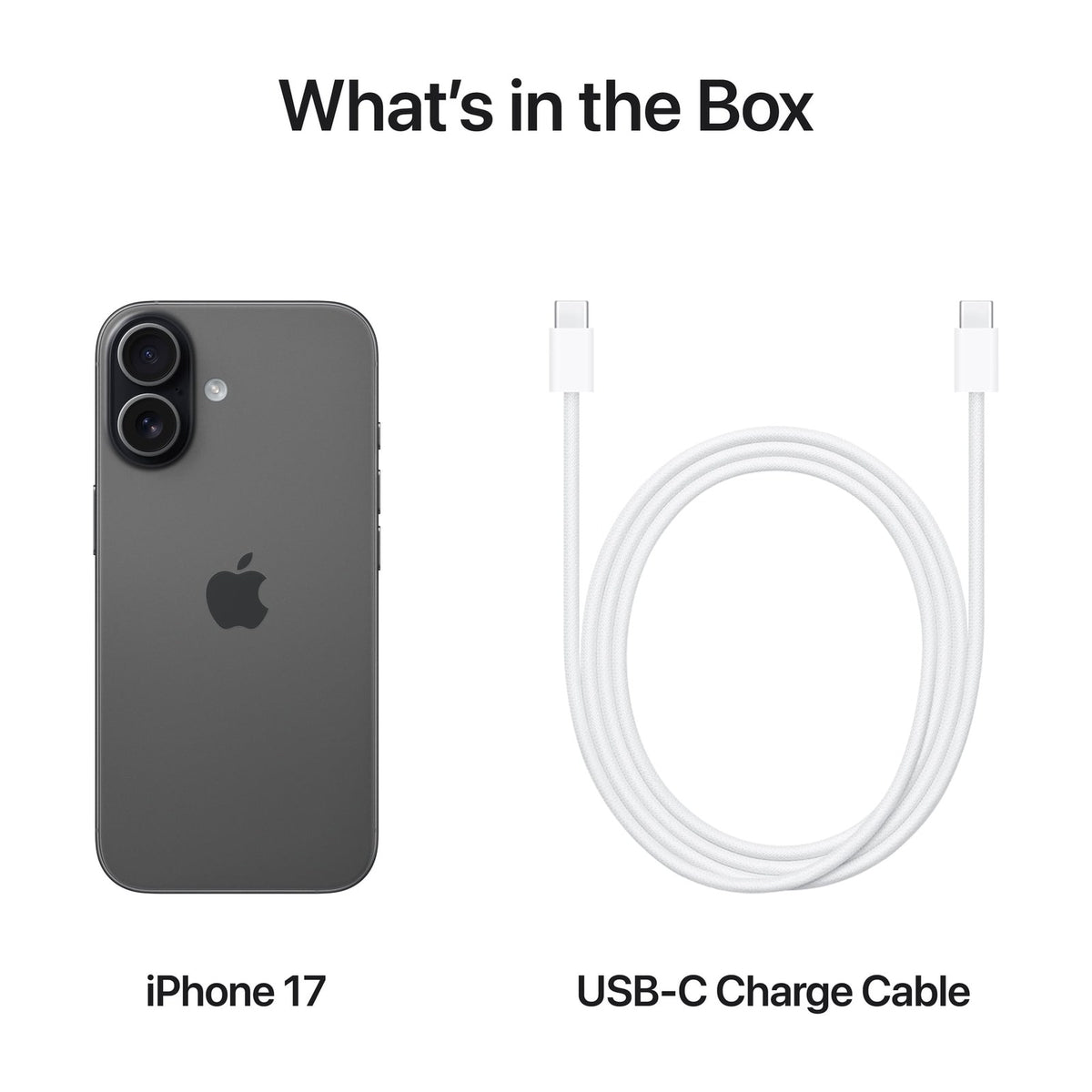 Black — Apple iPhone 17