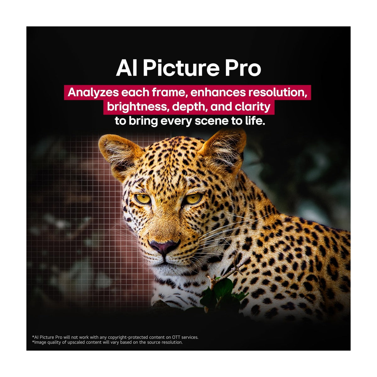 LG 65" Class C5 Series OLED evo AI 4K Smart TV — Televisions