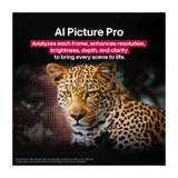 LG 65" Class C5 Series OLED evo AI 4K Smart TV — Televisions